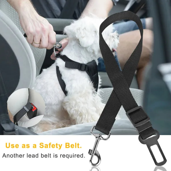 2Pcs Pet Dog/Cat Seat Belt Leash