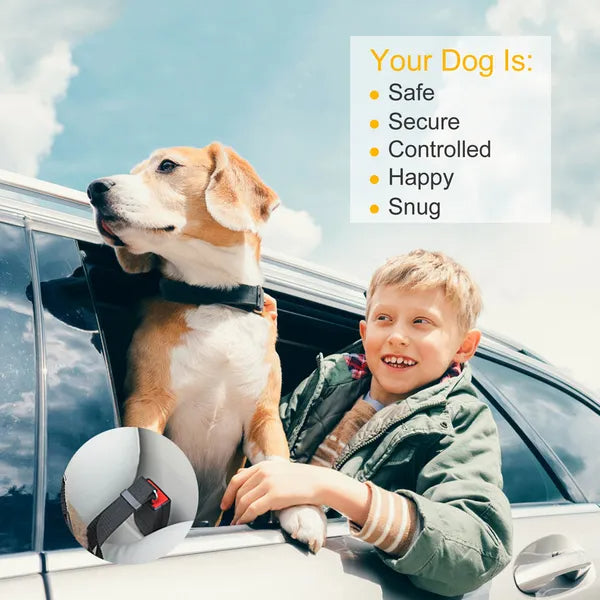 2Pcs Pet Dog/Cat Seat Belt Leash