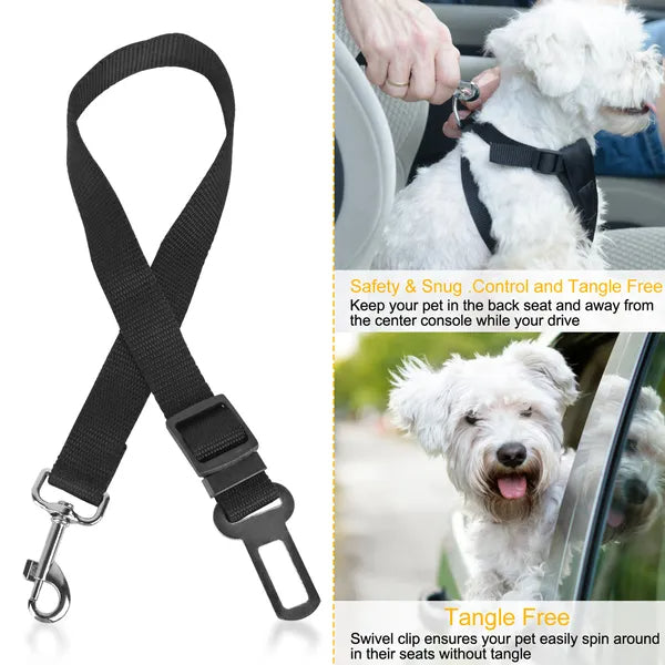 2Pcs Pet Dog/Cat Seat Belt Leash