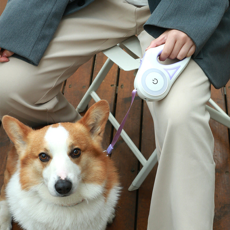 Retractable Leash And Dog Collar Spotlight Automatic Pet Dog Cat Traction Rope For Small Medium Dogs