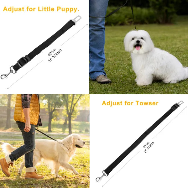 2Pcs Pet Dog/Cat Seat Belt Leash